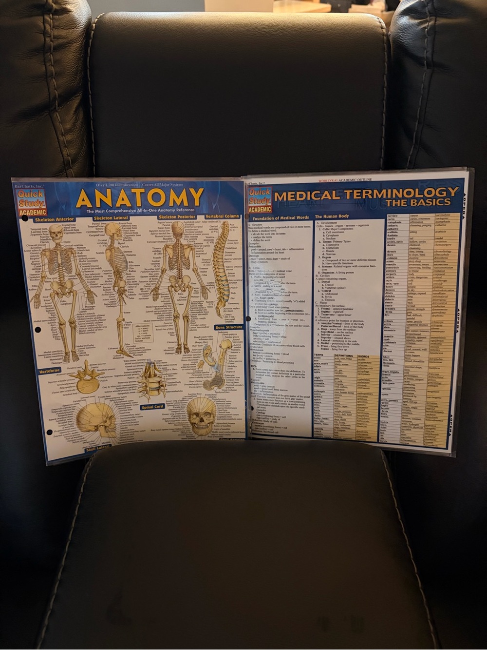 Anatomy & Medical Terminology Fold-Out Study Guide - Black